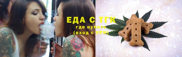 стаф Арсеньев