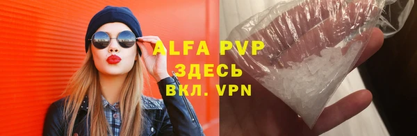стаф Арсеньев