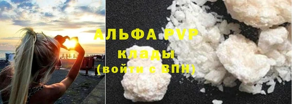 ешки Сосновый Бор