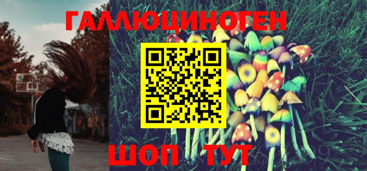 Нарткала  Галлюциногенные грибы ЛСД  где купить   Галлюциногенные грибы мухоморы  Вход с VPN 